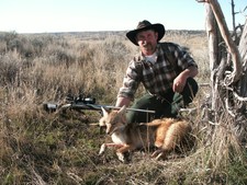 A 625 yard coyote
